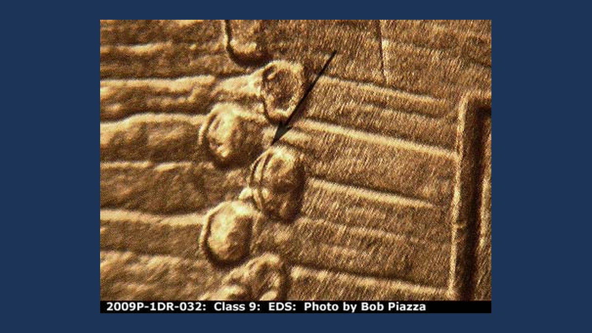 2009 Lincoln Penny: Birth and Childhood Doubled Die Reverse