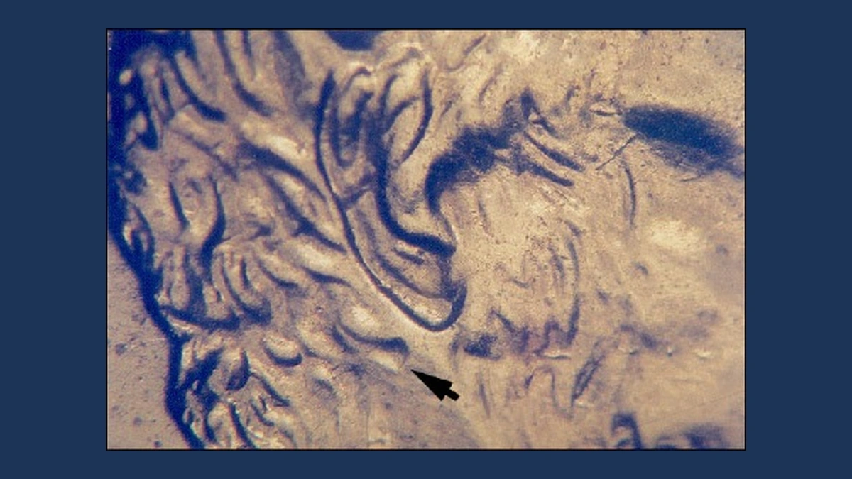 2002 Lincoln Penny: Doubled Die Obverse