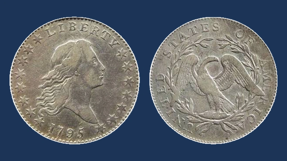 1795 Flowing Hair Half Dollar: Repunched Date