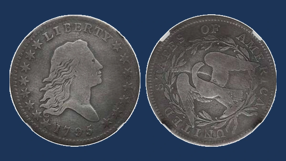 1795 Flowing Hair Half Dollar: Die Break / Cud