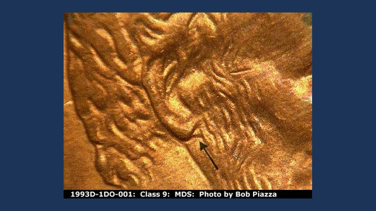 1993 Lincoln Penny: Doubled Die Obverse