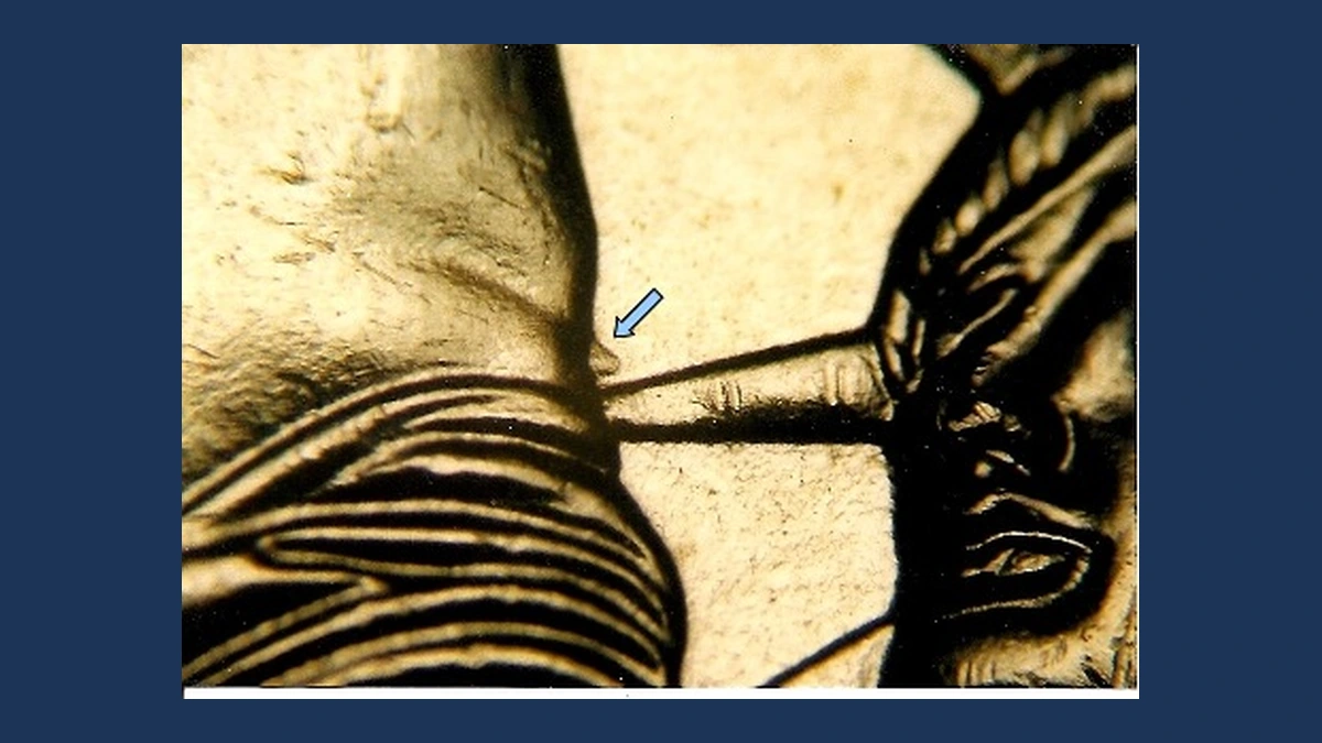 2007 Presidential Dollars: Doubled Die Reverse