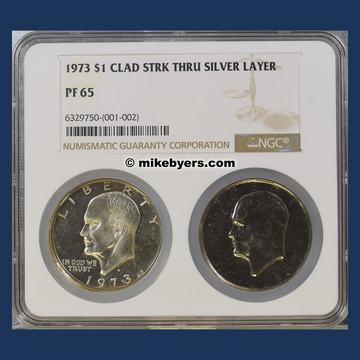 1973 Ike Dollar: Struck Through