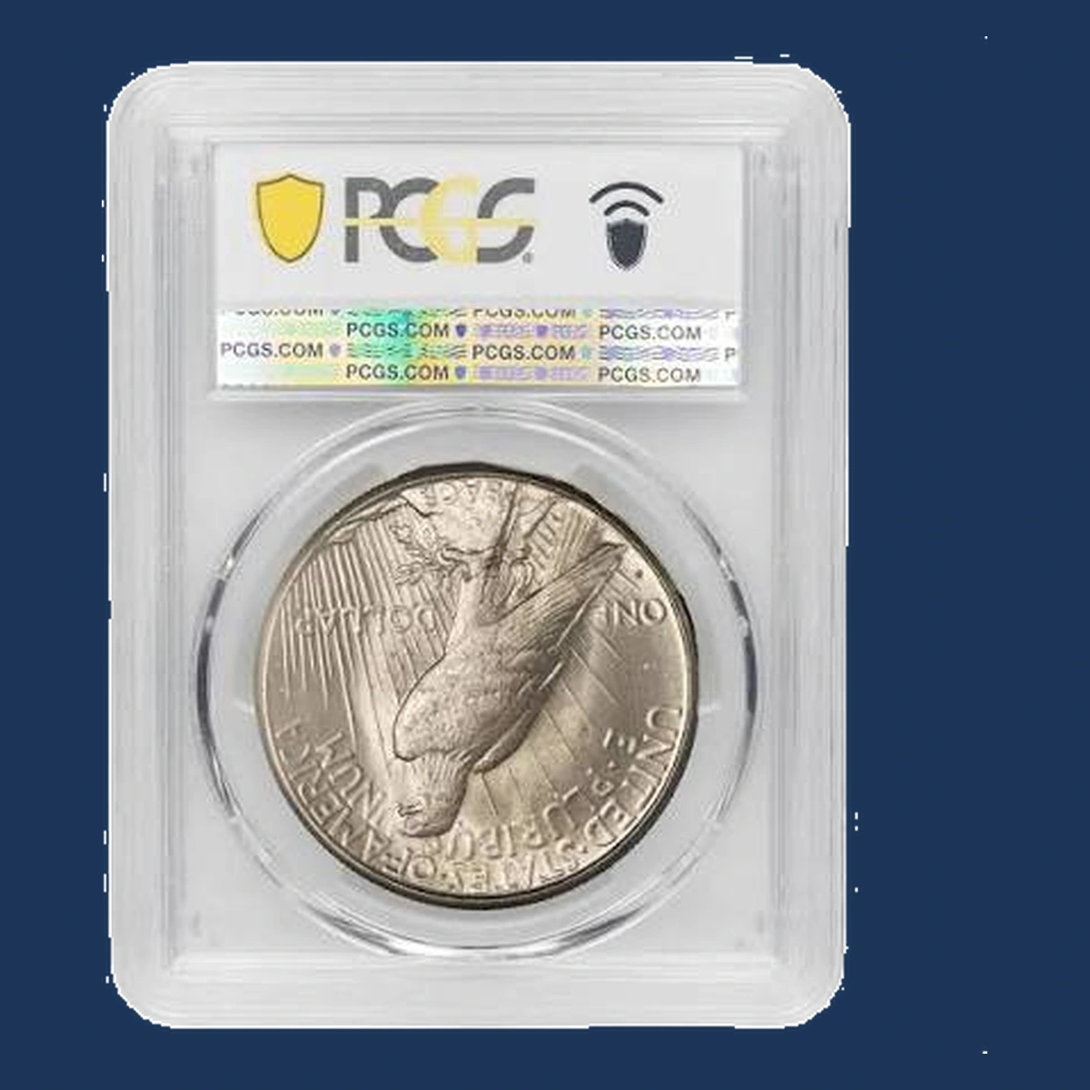 1925 Peace Dollar: Lamination