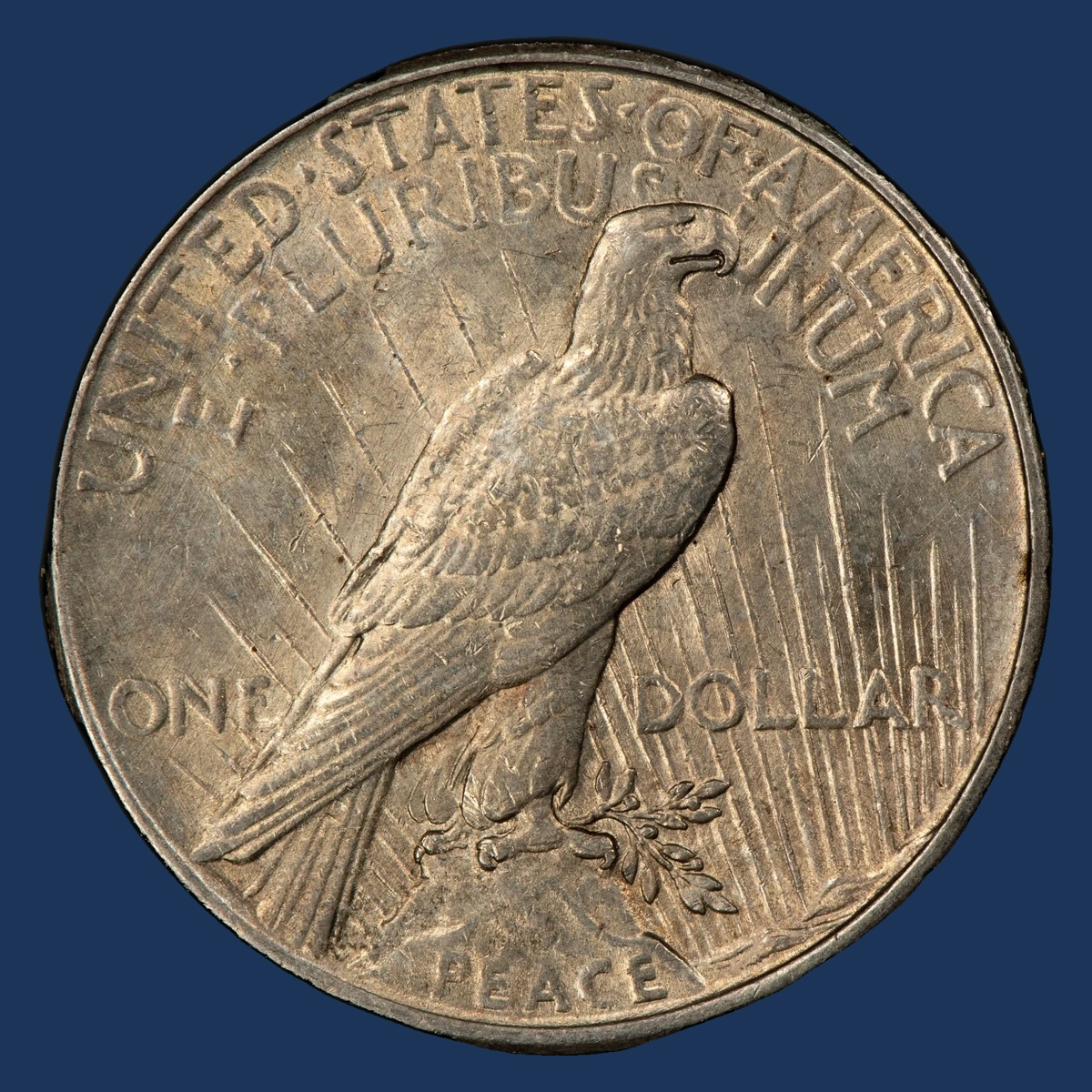 1925 Peace Dollar: Overpolished Die