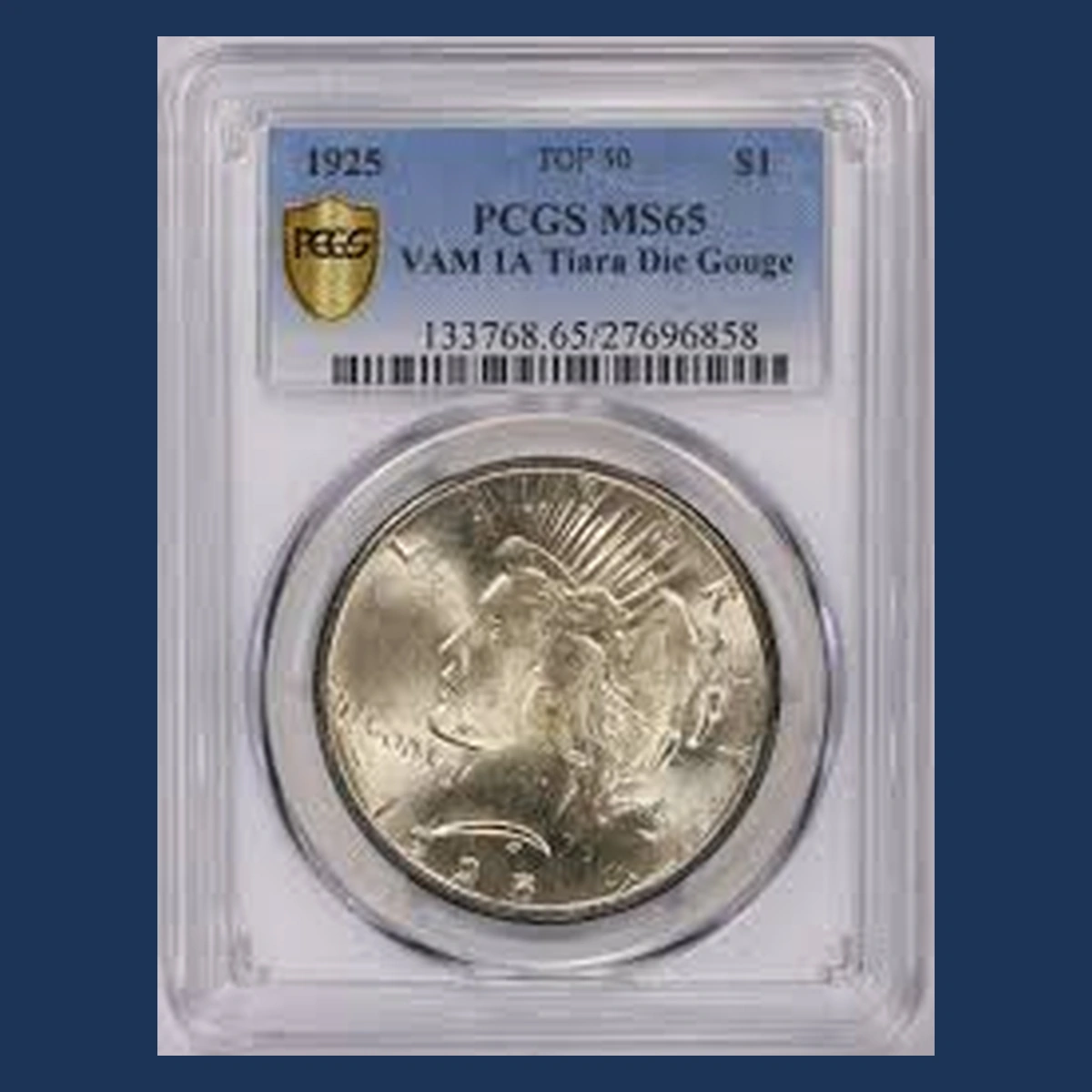 1925 Peace Silver Dollar: Die Gouge / Named Raised-Line Variety