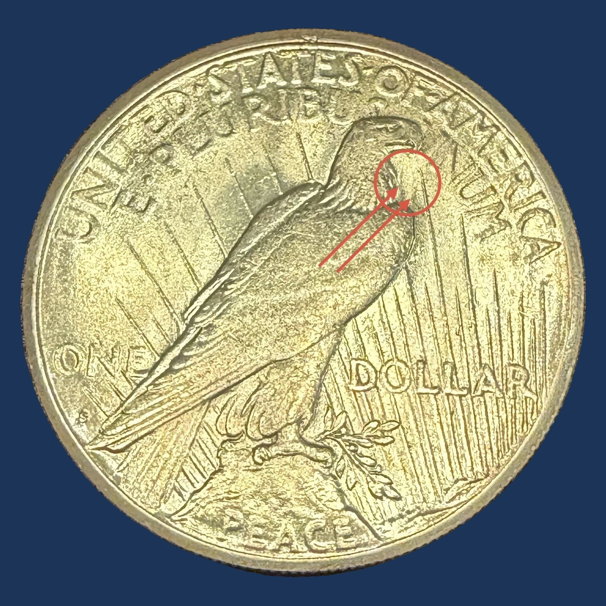 1922 Peace Dollar: Die Clash