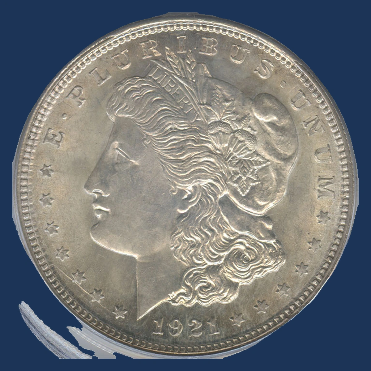 1921 Morgan Dollar: Multiple Strike