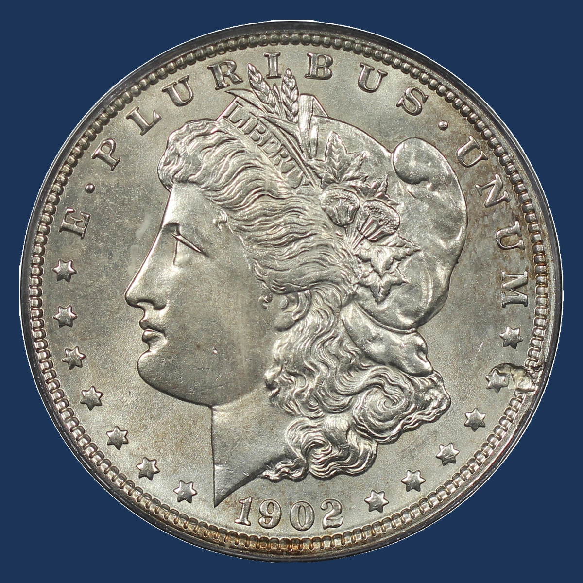 1902 Morgan Dollar: Struck Through