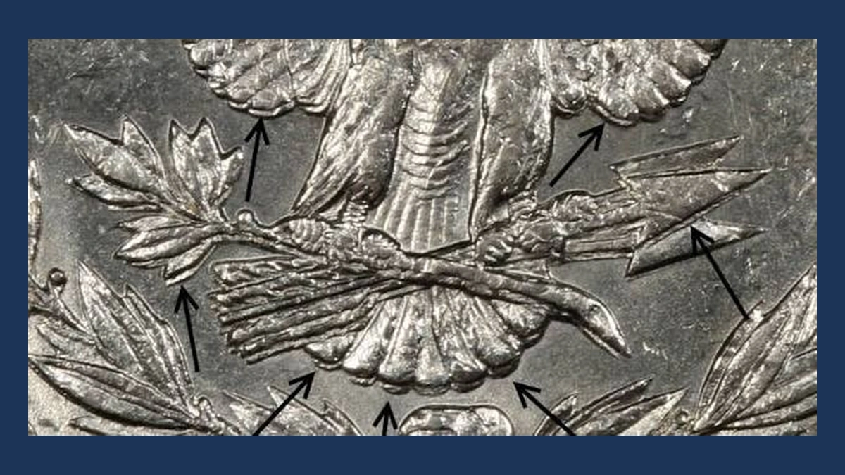 1901 Morgan Silver Dollar: Doubled Die Reverse