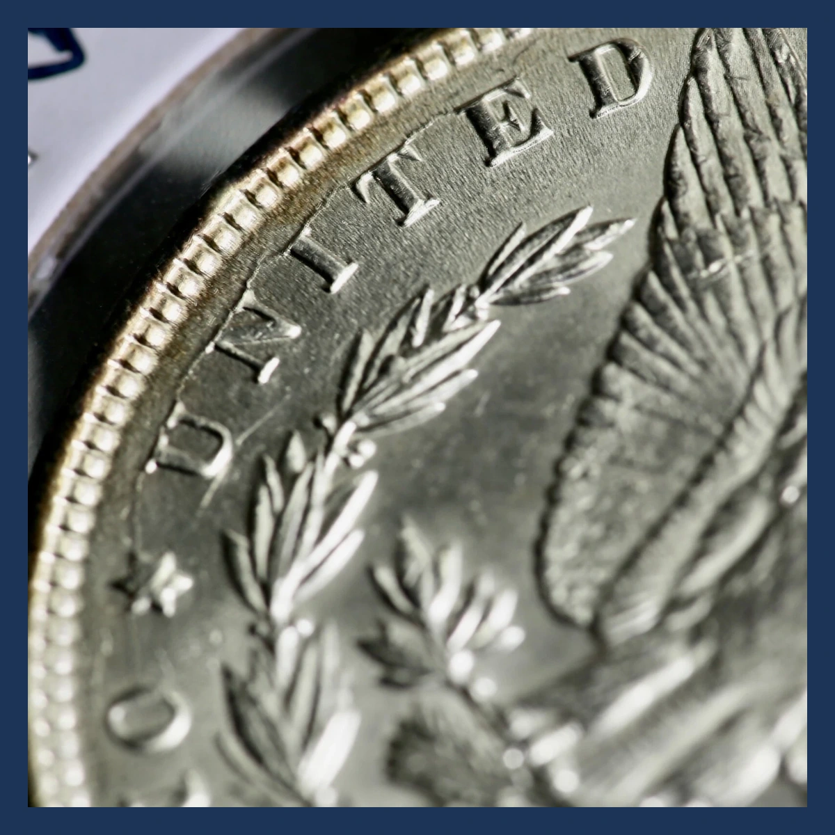 1891 Morgan Silver Dollar: Die Crack / Die Chip