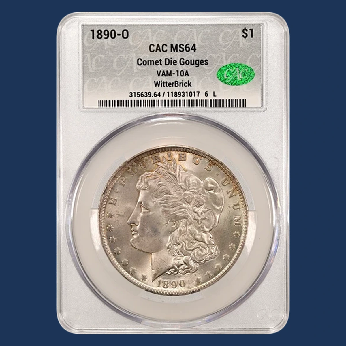 1890 Morgan Silver Dollar: Die Gouge / Named Raised-Line Variety