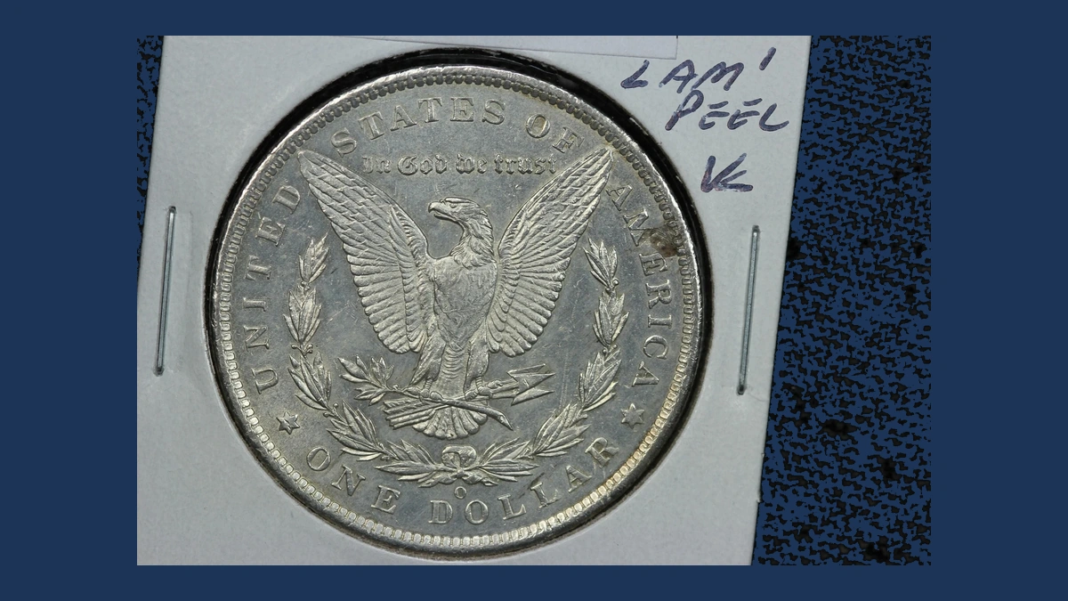 1885 Morgan Silver Dollar: Lamination / Split Planchet