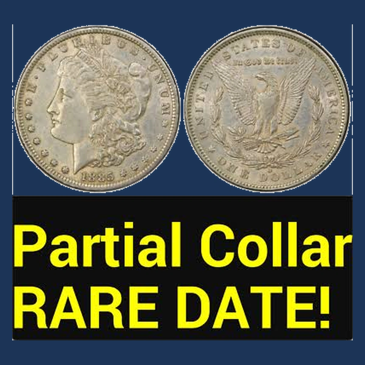 1885 Morgan Dollar: Partial Collar