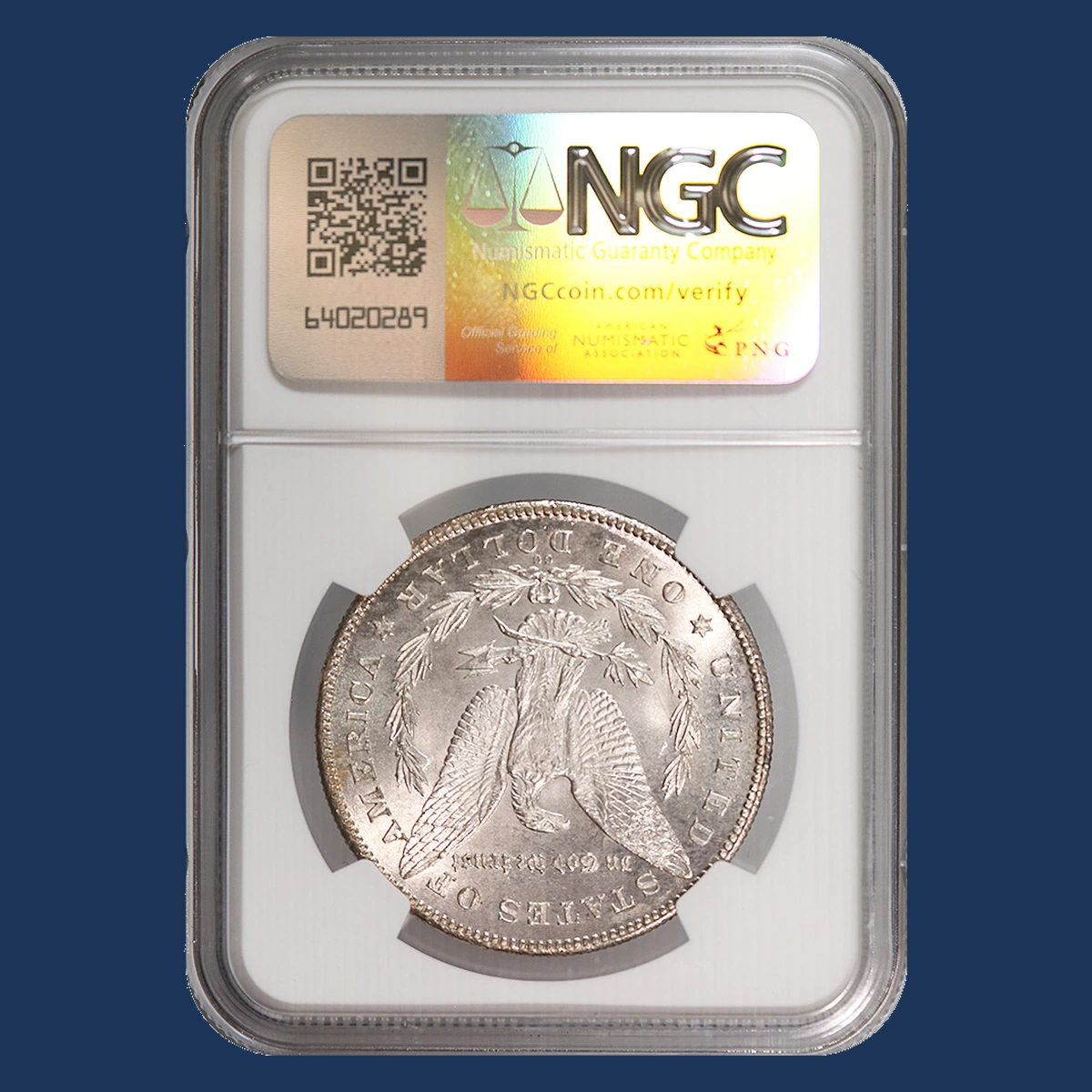 1880 Morgan Dollar: Die Clash