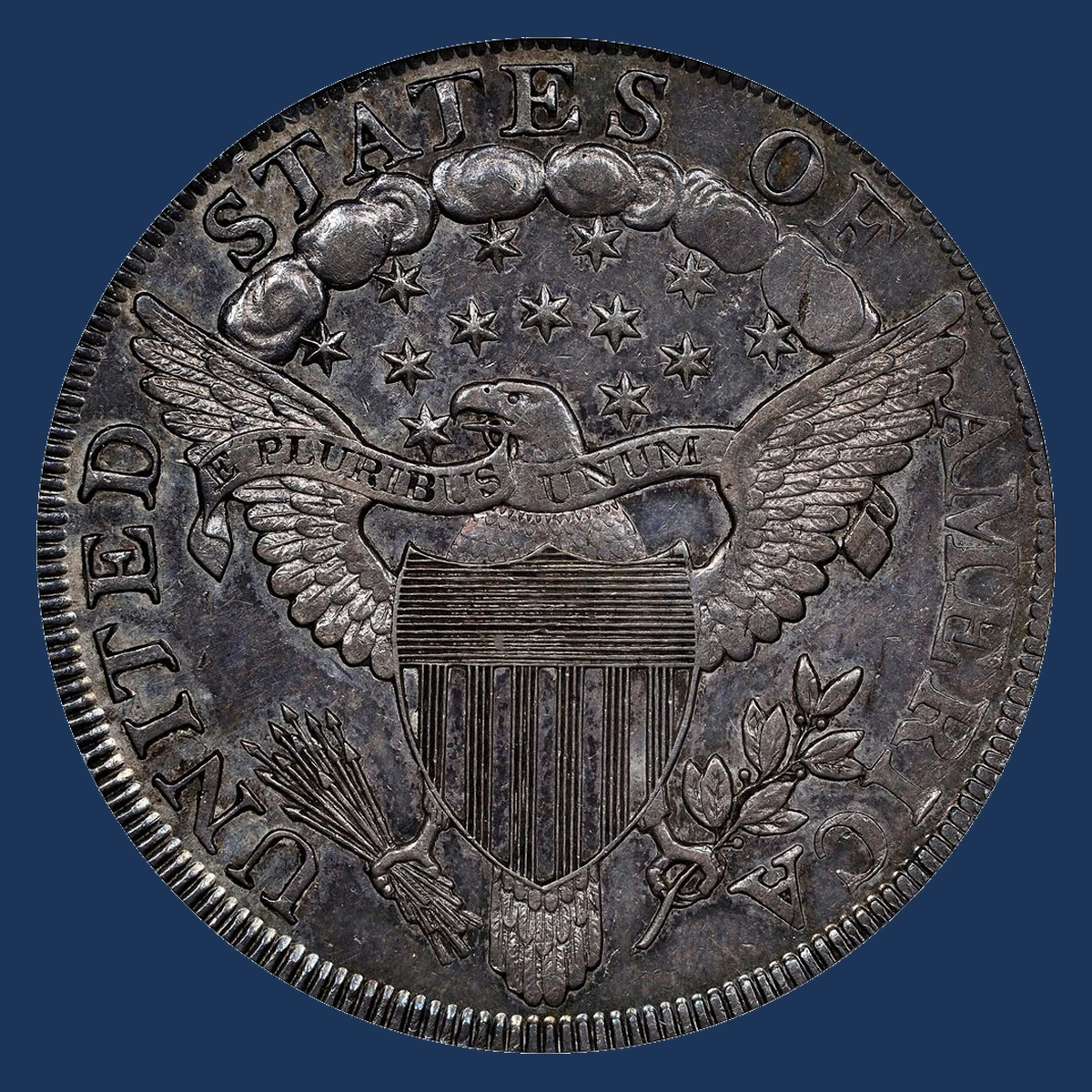 1801 Draped Bust Dollar: Missing Design Detail