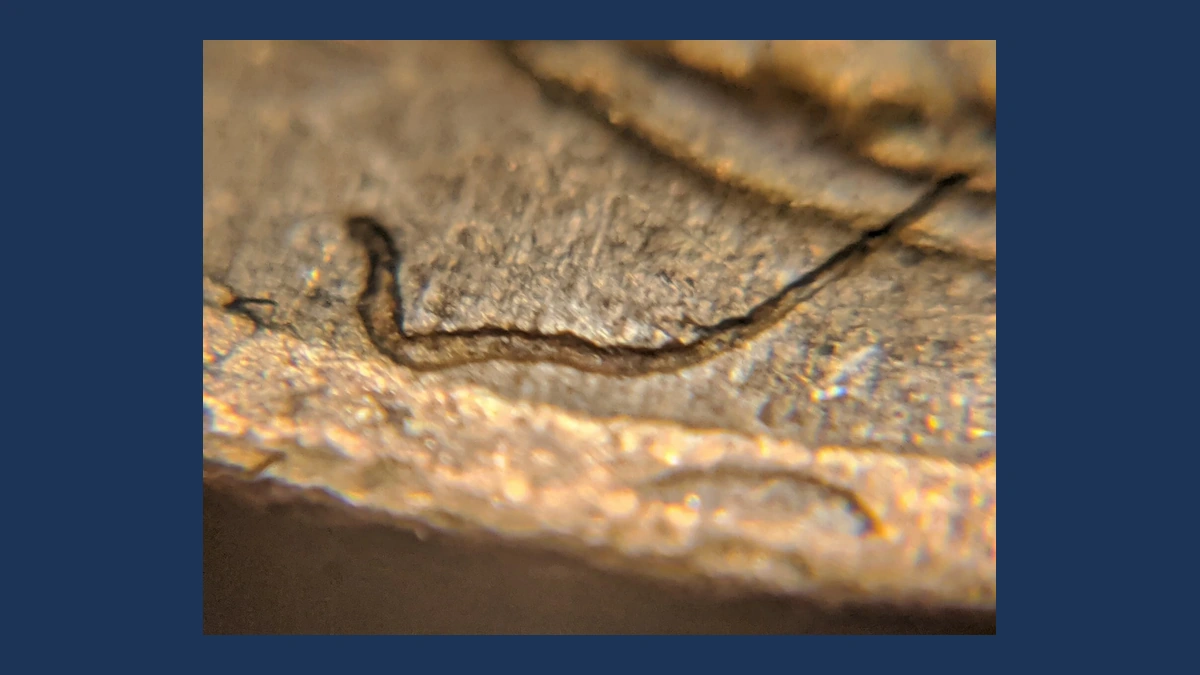 1948 Wheat Penny: Struck-Through Error