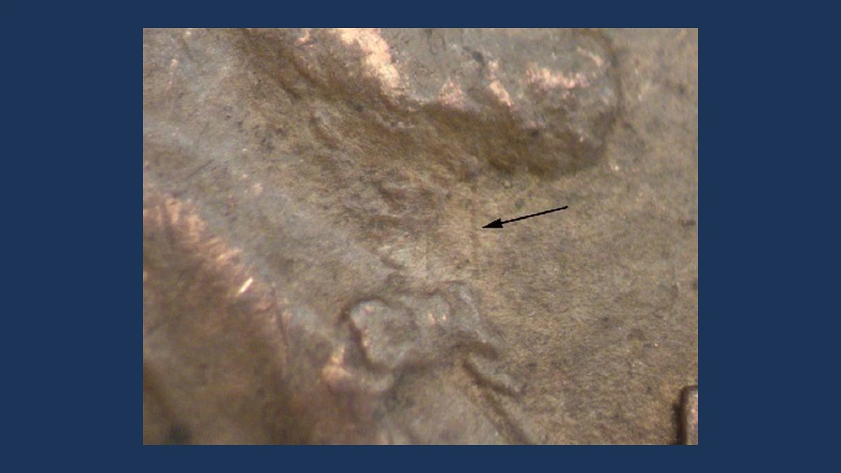 1910 Lincoln Cent (Wheat Reverse): Die Clash