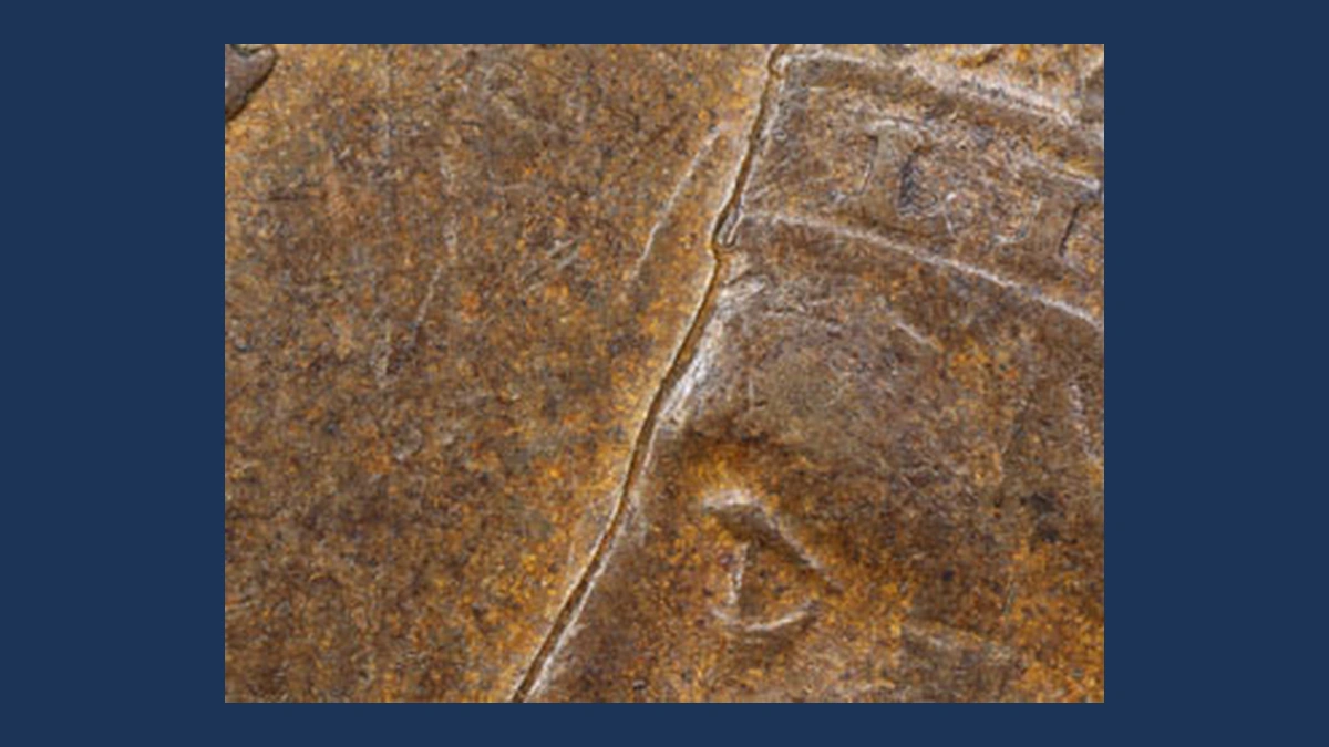 1904 Indian Head Penny: Clashed Dies