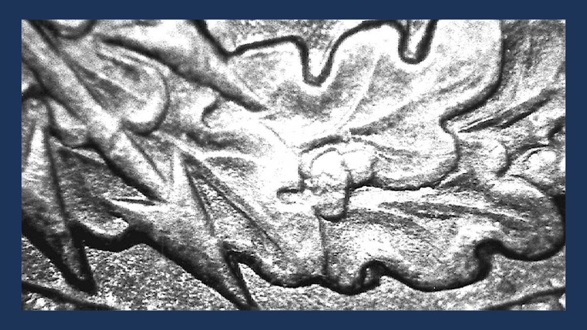 1903 Indian Head Penny: Doubled Die Reverse