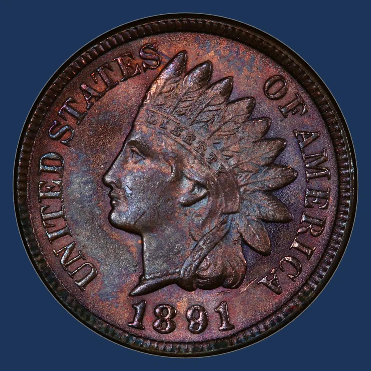 1891 Indian Head Penny: Doubled Die Obverse
