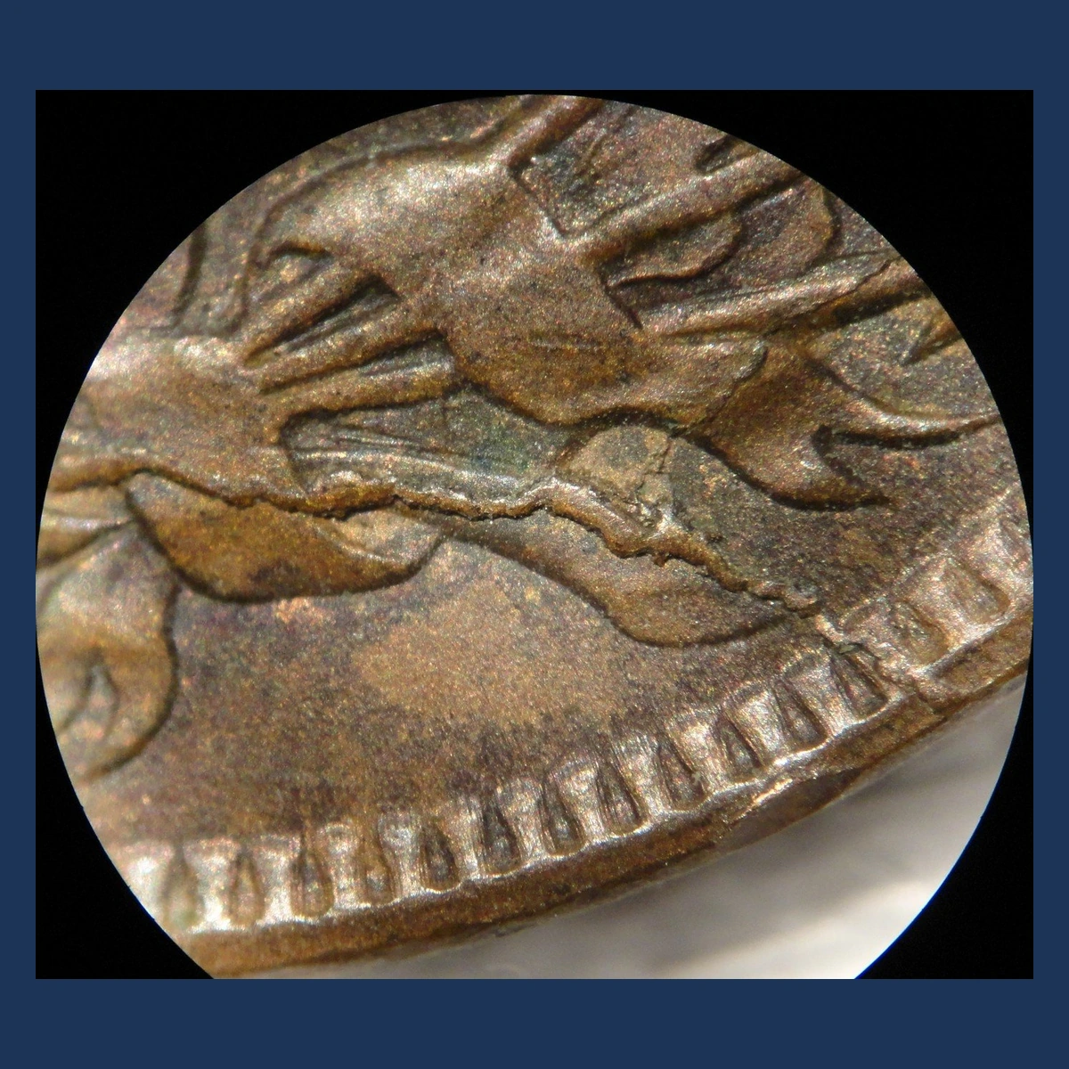 1889 Indian Head Penny: Die Break / Cud