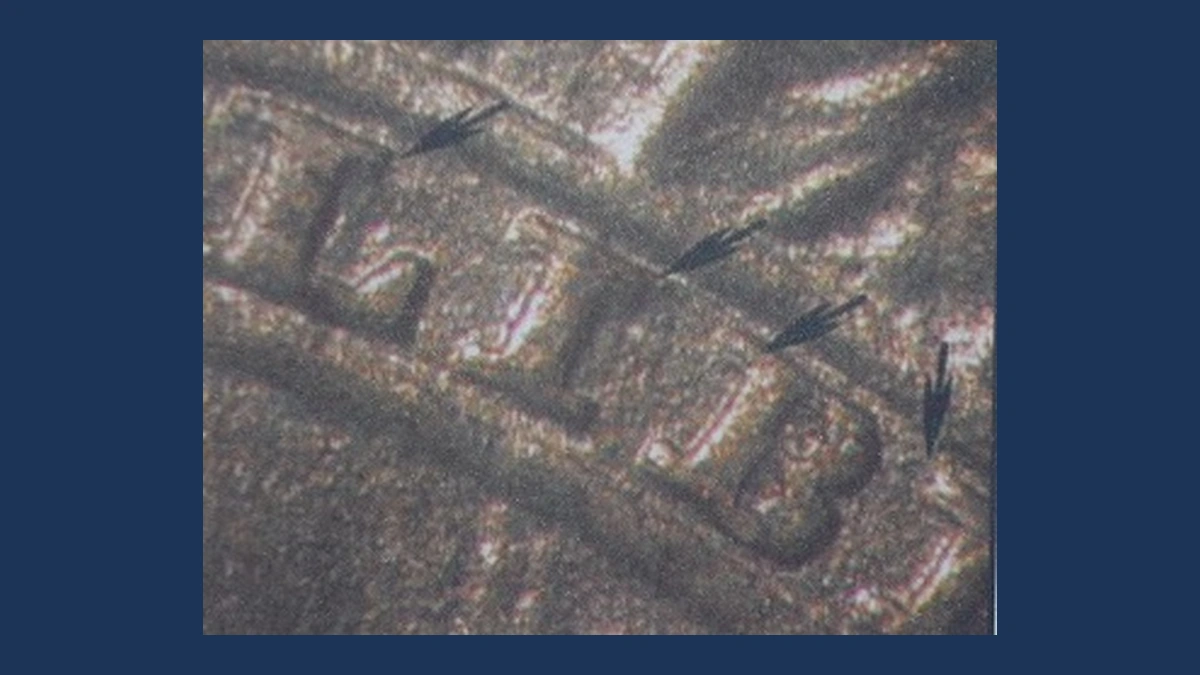 1860 Indian Head Penny: Doubled Die Obverse