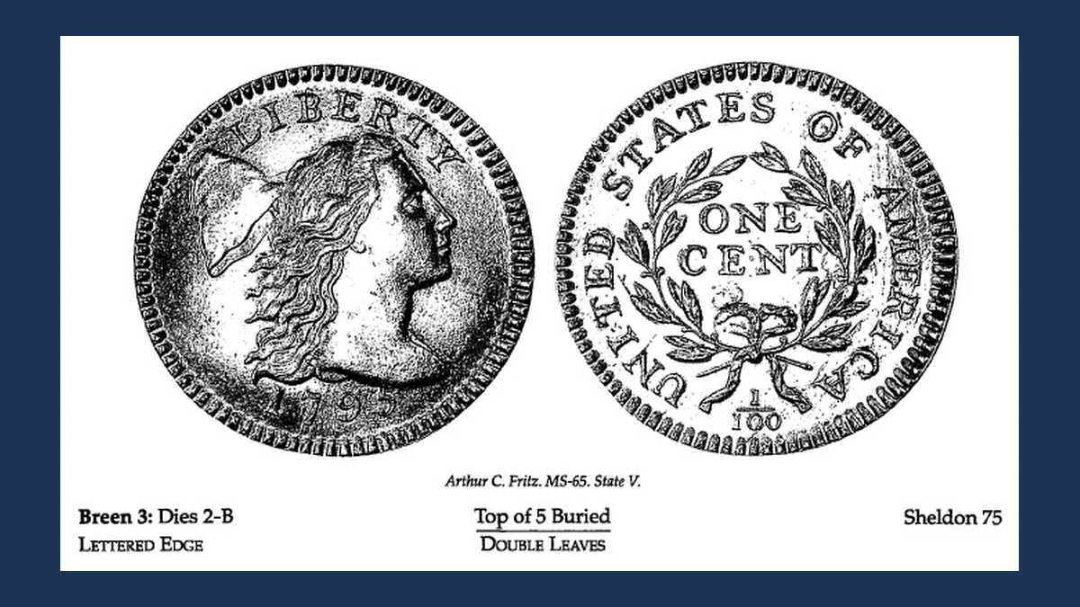 1795 Flowing Hair Large Cent: Die Crack