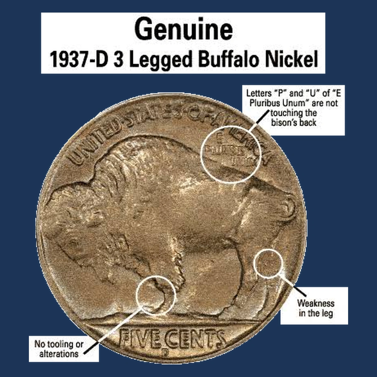 1937 Buffalo Nickel: Overpolished Die