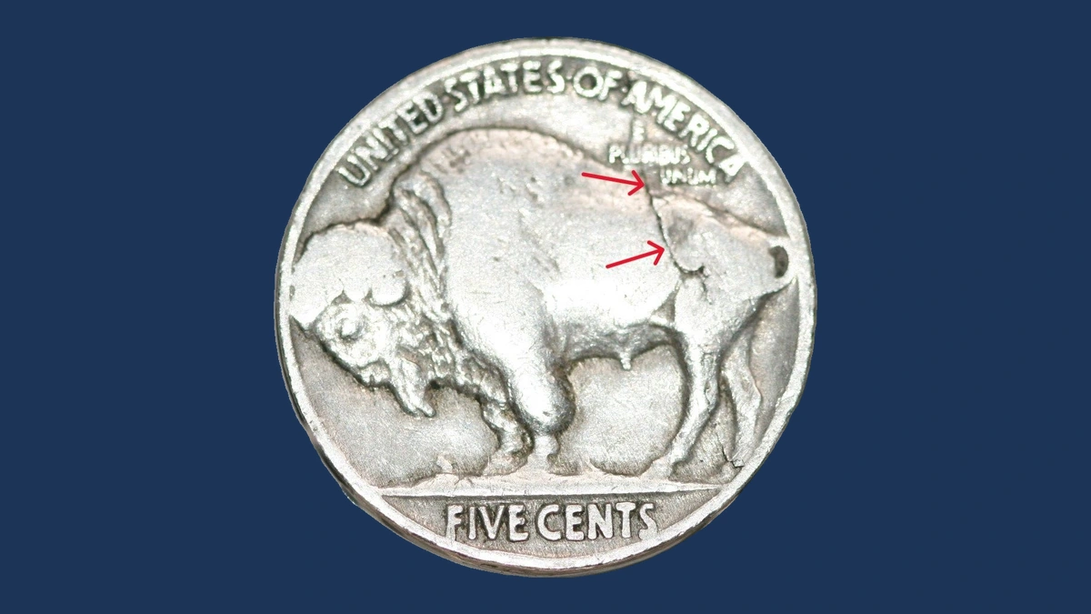 1929 Buffalo Nickel: Die Crack / Die Chip