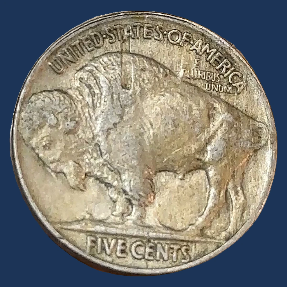 1919 Buffalo Nickel: Struck-Through Error