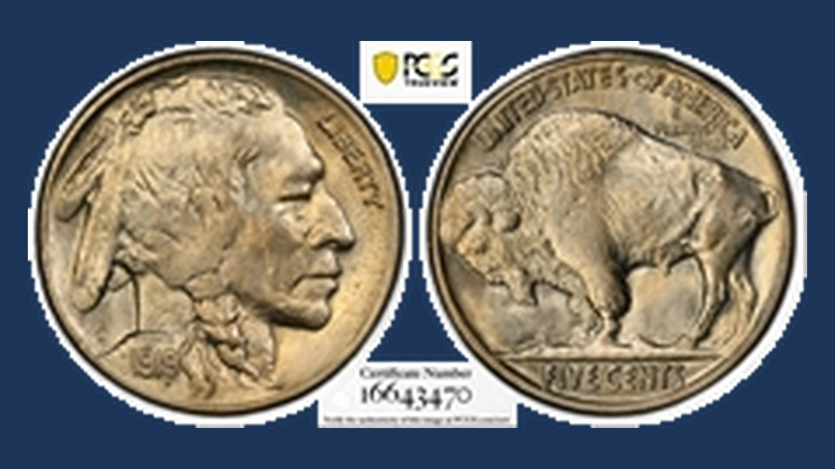 1919 Buffalo Nickel: Dropped Filling / Dropped Element