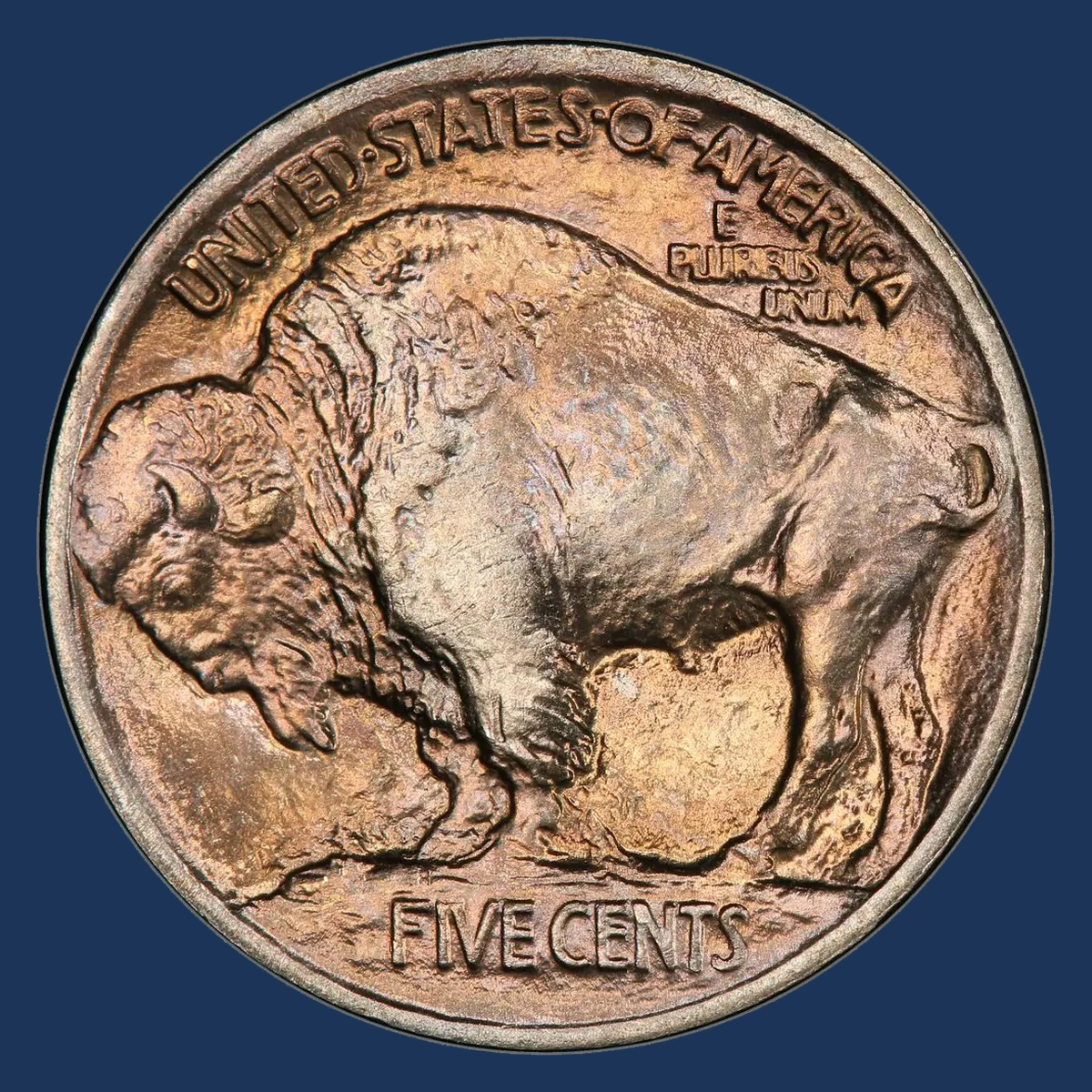 1913 Buffalo Nickel: Doubled Die Reverse