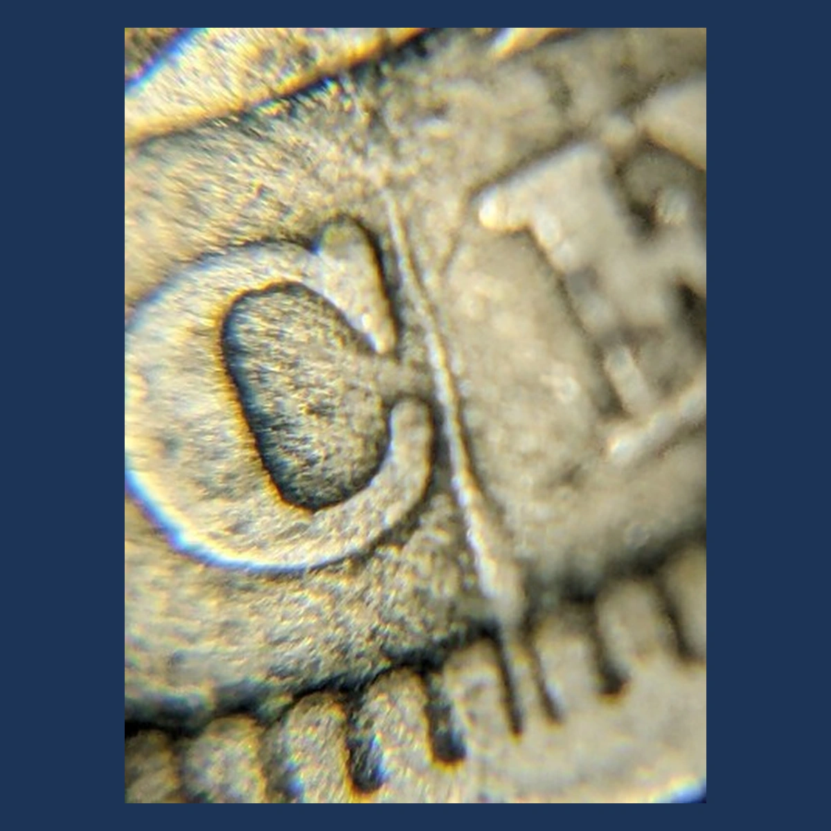 1906 Liberty Nickel: Die Crack