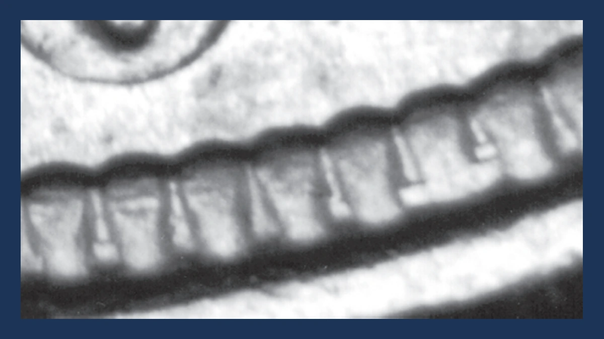 1905 Liberty Nickel: Misplaced Date