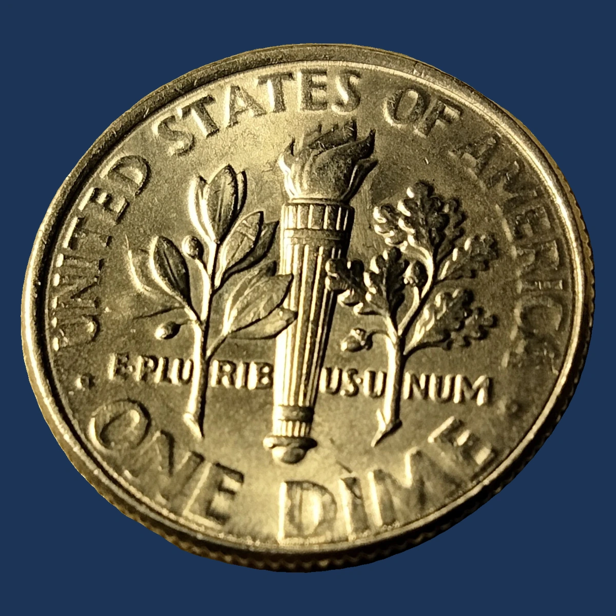 2015 Roosevelt Dime: Struck-Through Error
