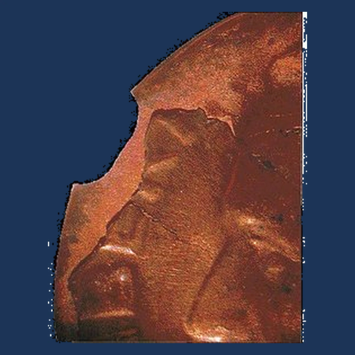 1981 Roosevelt Dime: copper core with surface flaking