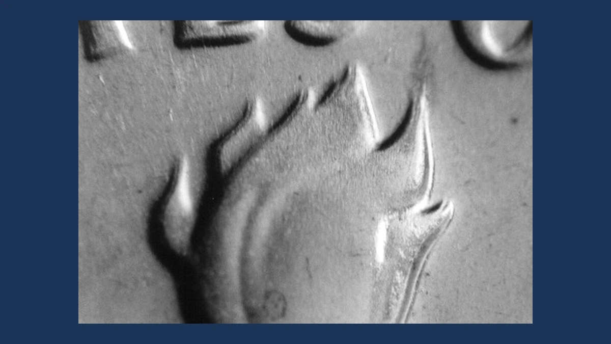 1966 Roosevelt Dime: Doubled Die Reverse