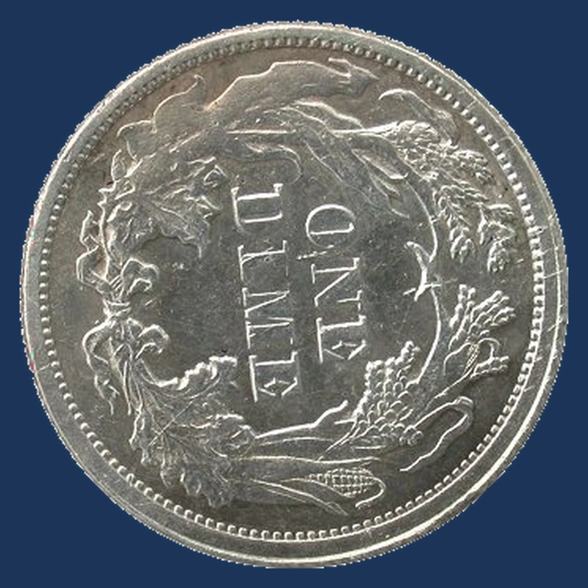 1876 Liberty Seated Dime: Rotated Dies