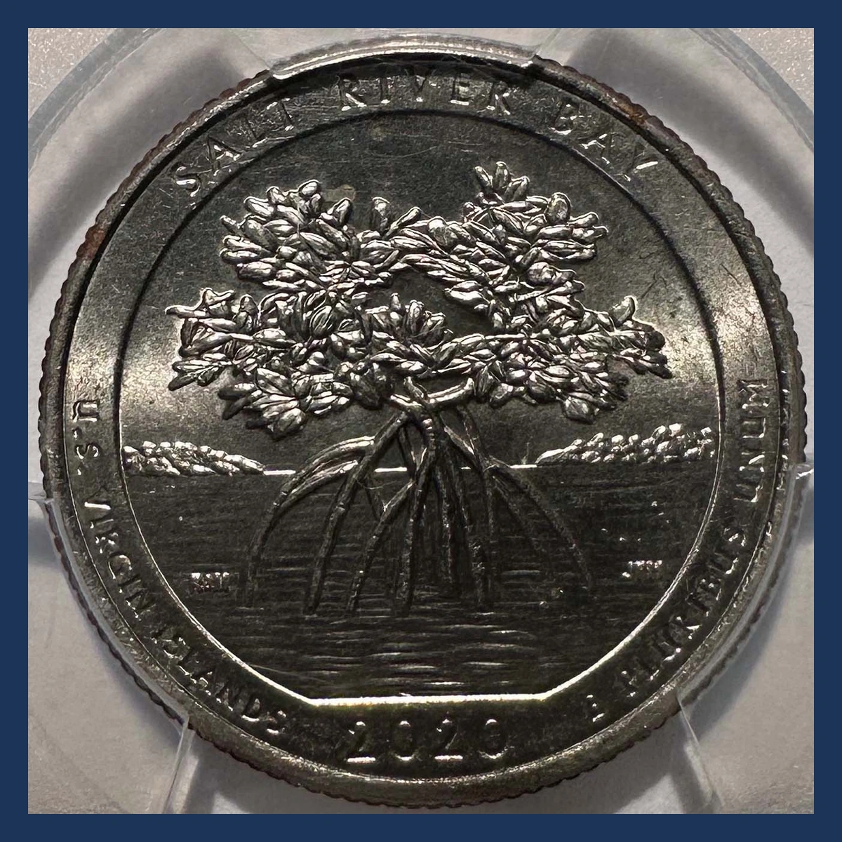 2020 Quarter: Double Strike — Salt River Bay
