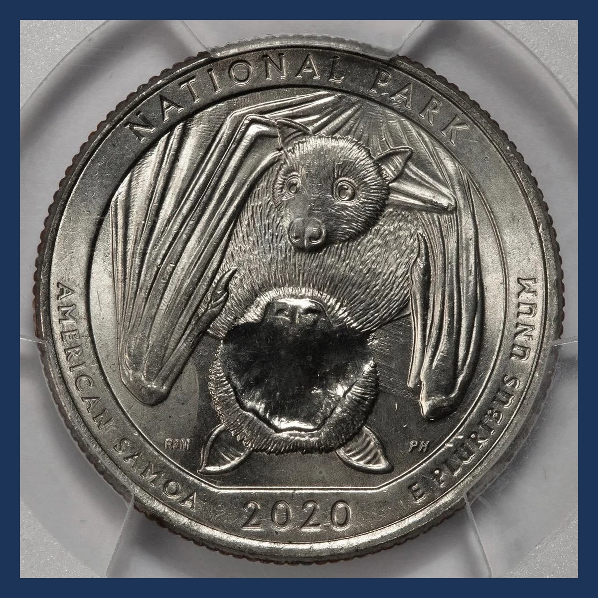2020 Quarter: Section 7