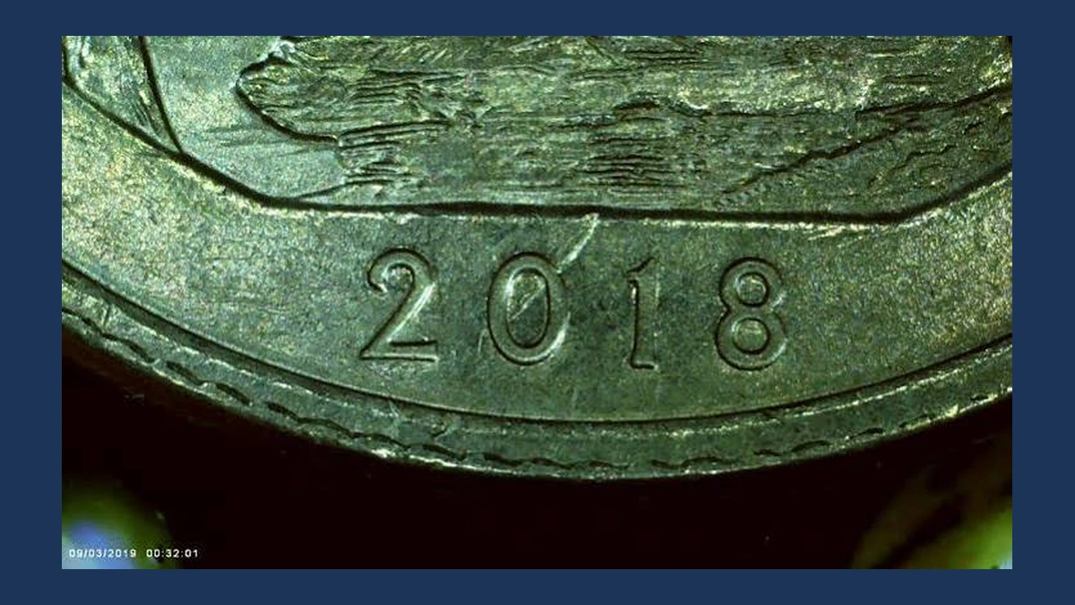2018 Quarter: Pictured Rocks — Die Gouge / Named Raised-Line Variety