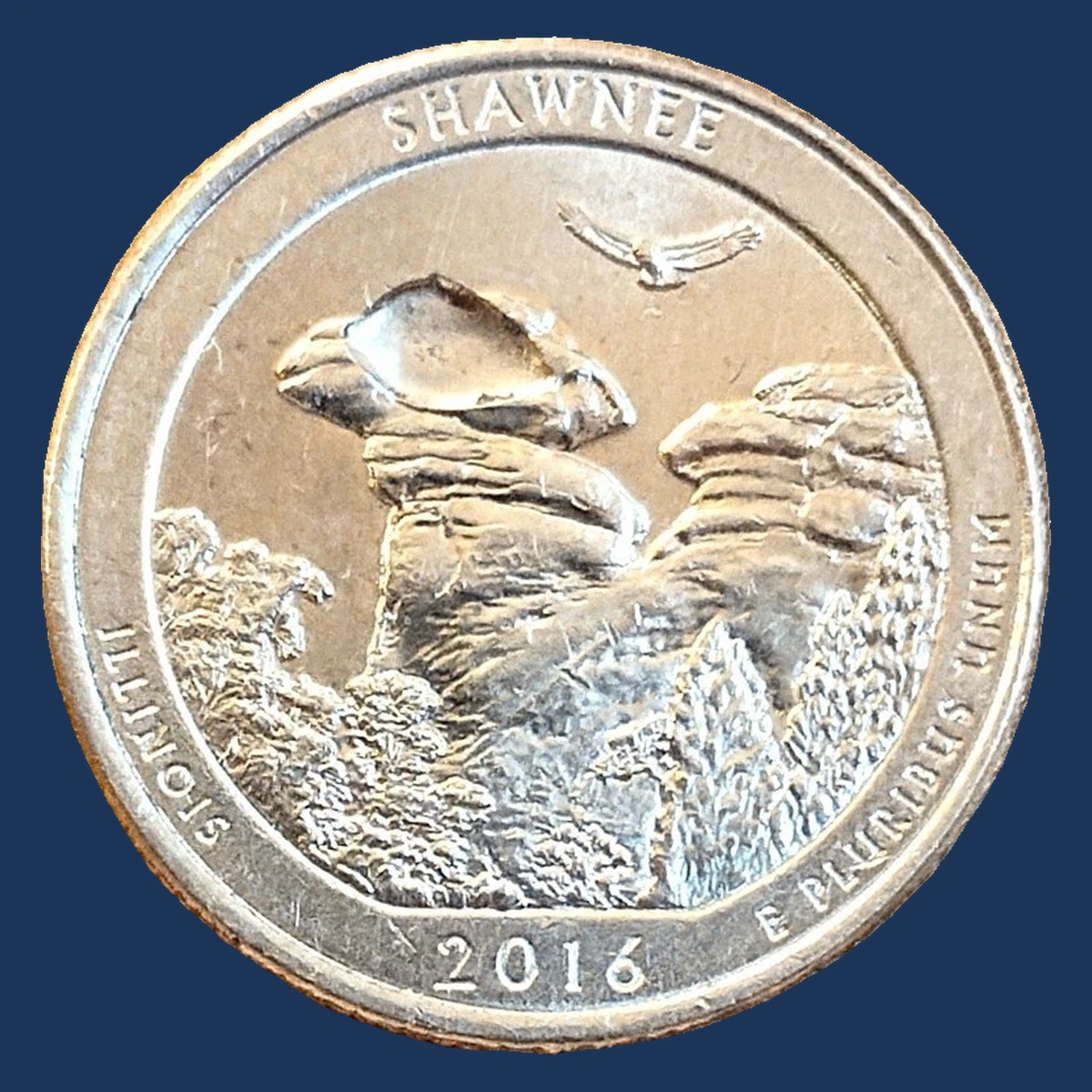2016 Quarter: Shawnee — Struck-Through Error