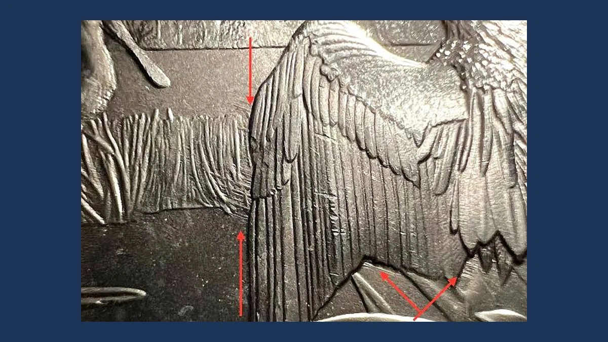 2014 Washington America the Beautiful Quarters: Die Gouge