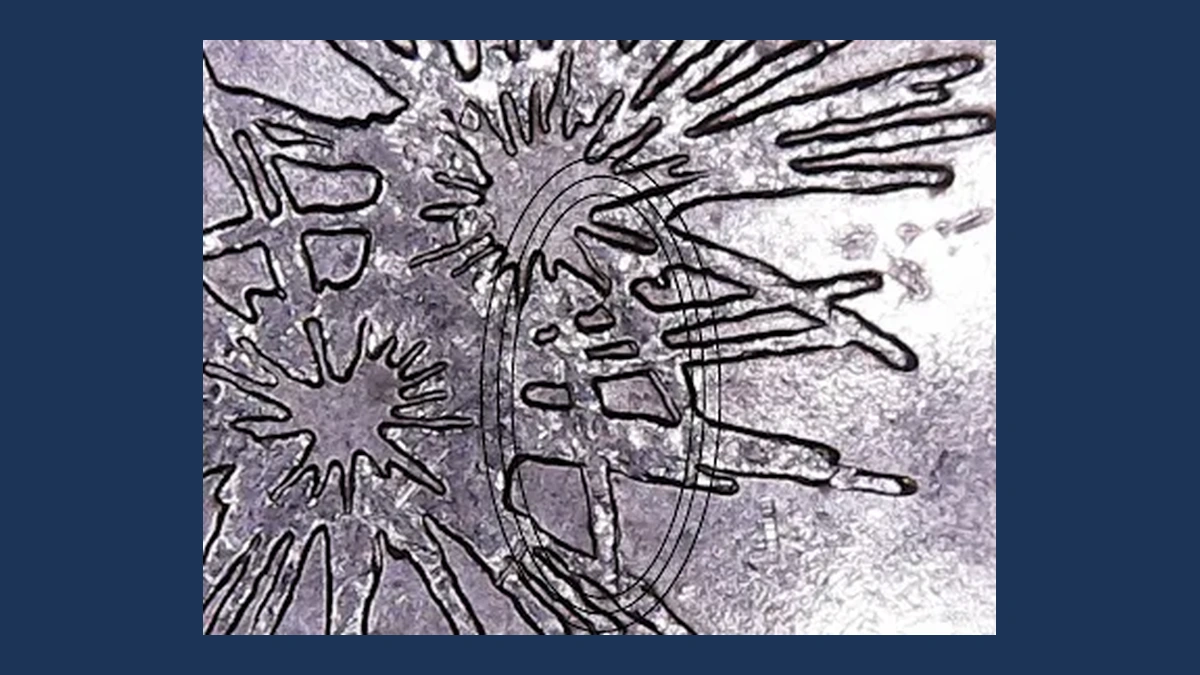 2013 Quarter: Fort McHenry — Doubled Die Reverse
