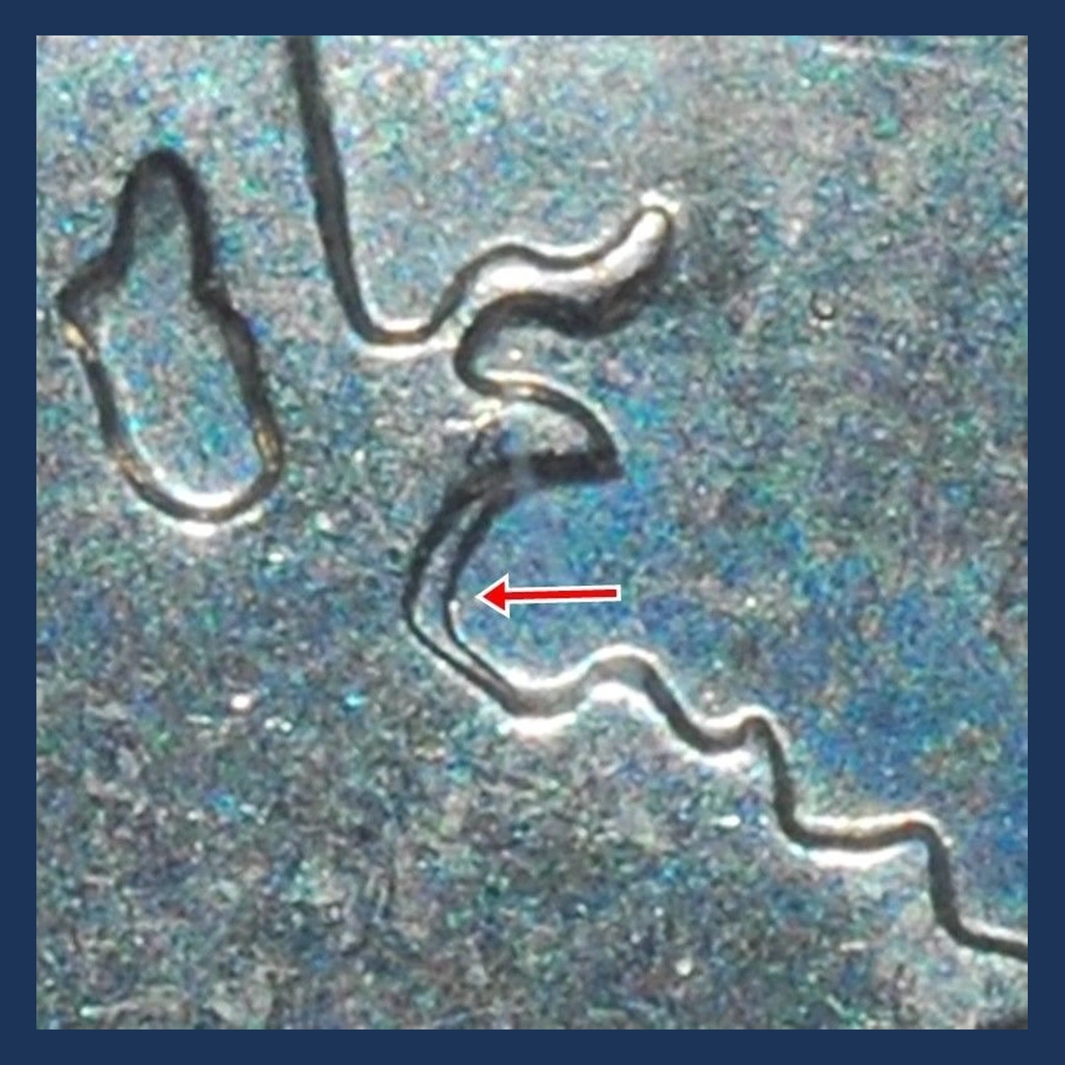 2007 Quarter: Wyoming — Doubled Die Reverse