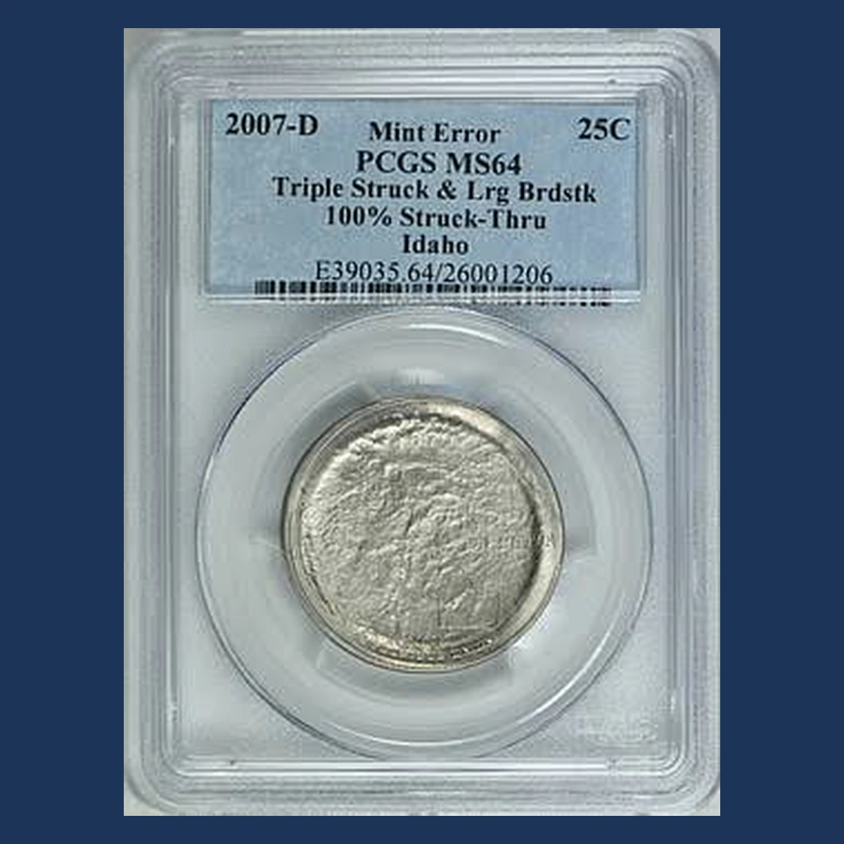 2007 Quarter: Struck-Through Error