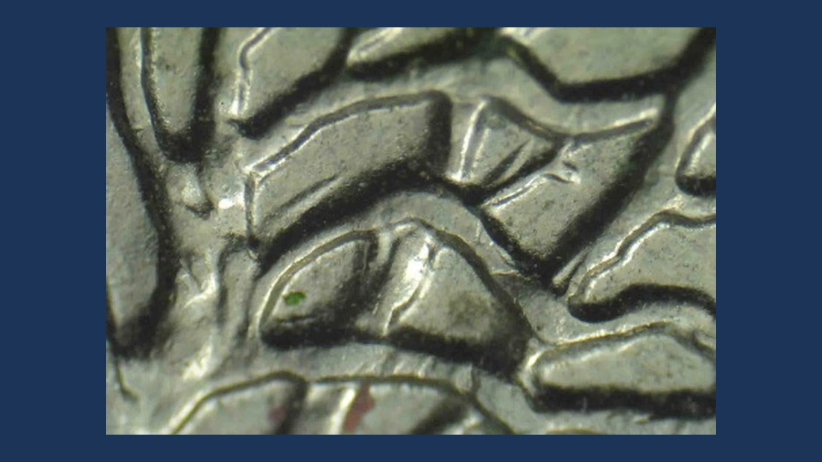 1999 Washington 50 States Quarters: Die Clash
