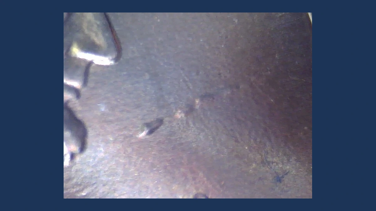 2013 Lincoln Cent (Modern): Plating Error
